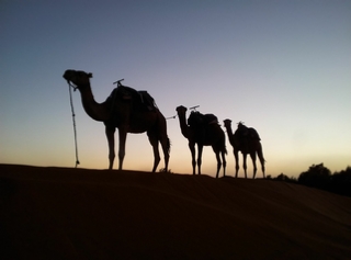 2 days Tour From Marrakech to Merzouga desert