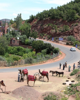 private Marrakech day trip to Ourika valley,guided Atlas mountains excursion in Ourika and Setti fatma