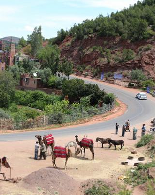 private Marrakech day trip to Ourika valley,guided Atlas mountains excursion in Ourika and Setti fatma private Marrakech day trip to Ourika valley,guided Atlas mountains excursion in Ourika and Setti fatma