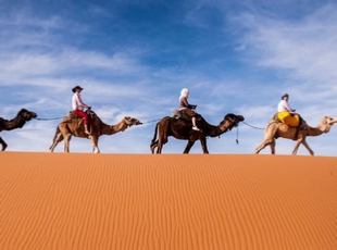 private 4 days desert Casablanca tour | Casablanca tour to Merzouga and Marrakech