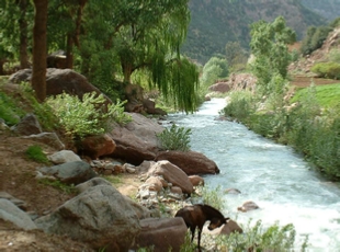 Marrakech day trip to Ourika valley