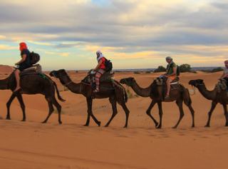 private 7,8,10 days tour from Tangier | Tangier tour to Chefchaouen and Merzouga desert trip private 7,8,10 days tour from Tangier | Tangier tour to Chefchaouen and Merzouga desert trip