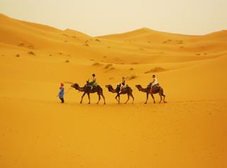 private 5 days north Morocco tour from Tangier,Tangier trip to Chefchaouen and Fes private 5 days north Morocco tour from Tangier,Tangier trip to Chefchaouen and Fes