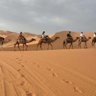 Camel trekking in Merzouga | Erg Chebbi camel ride to camp Camel trekking in Merzouga | Erg Chebbi camel ride to camp