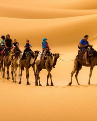 Camel trekking in Merzouga | Erg Chebbi camel ride to camp