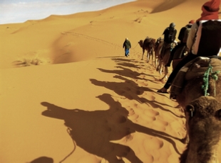 Camel Trekking Merzouga
