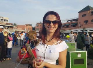 private 12 days Casablanca trip tour | 13,14 Days Grand Morocco tour from Casablanca private 12 days Casablanca trip tour | 13,14 Days Grand Morocco tour from Casablanca