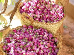 private 5 days Fes ravel to Marrakech | Fes to Merzouga trip with night in camp private 5 days Fes ravel to Marrakech | Fes to Merzouga trip with night in camp