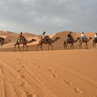 Camel trekking in Merzouga | Erg Chebbi camel ride to camp